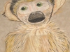 cc2009tatyanamonkey