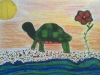 kgwnoelleturtle